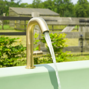 Gardentub lime green with golden Gardentub faucet